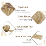 Blonde Highlights clip ins