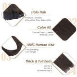 Human Hair Halo Extensions
