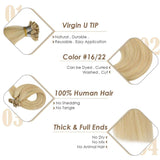 Virgin Preboned Extensions